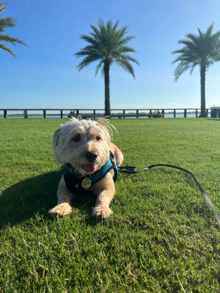 Bayshore Animal Clinic 12