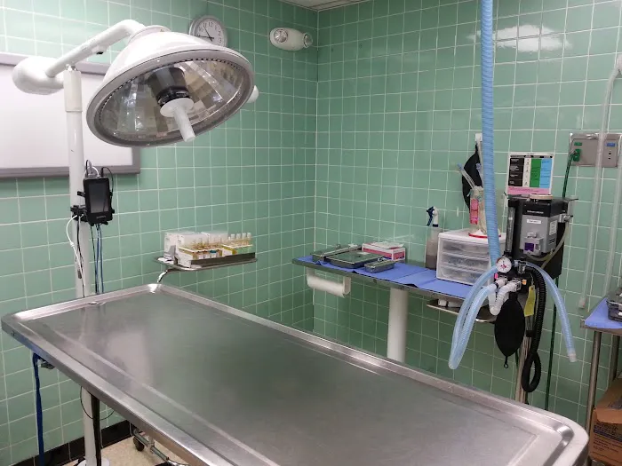 Beach Park Animal Clinic 12