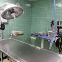 Beach Park Animal Clinic ico