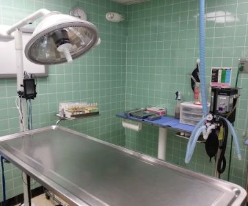 Beach Park Animal Clinic