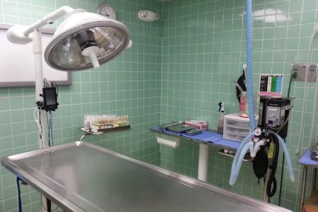 Beach Park Animal Clinic
