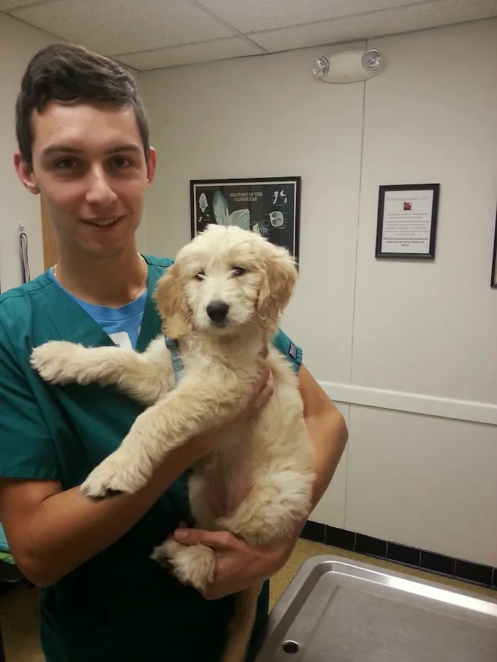 Beach Park Animal Clinic 12
