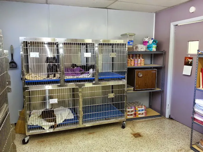 Beach Park Animal Clinic 12