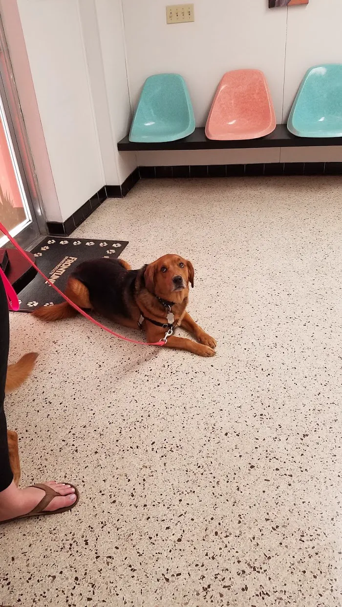 Beach Park Animal Clinic 12