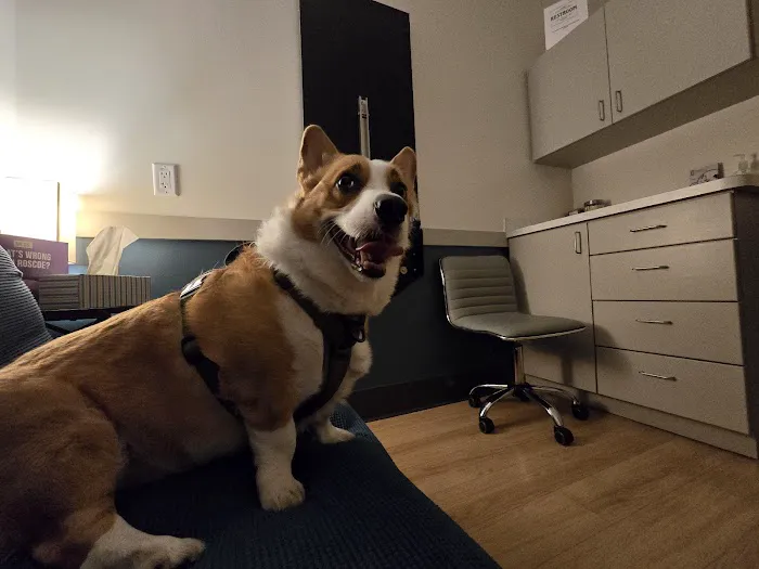 Beacon Emergency Veterinary Hospital 12