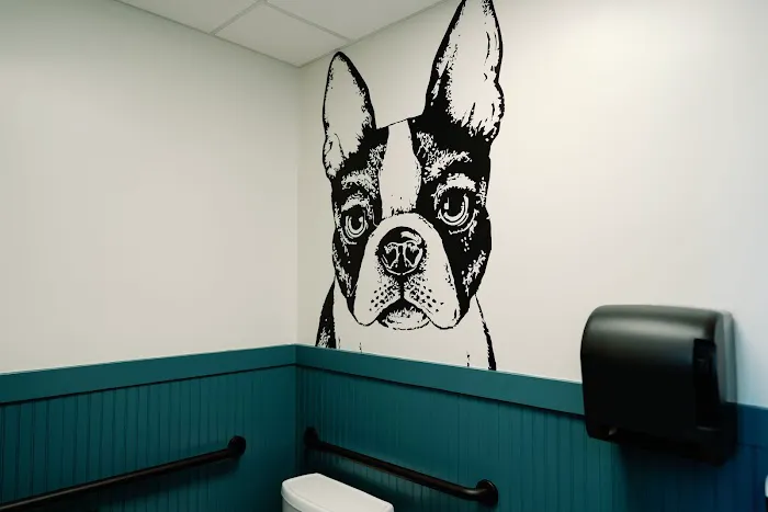 Beacon Emergency Veterinary Hospital 12