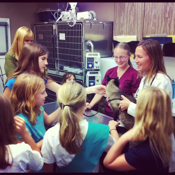 Veterinary Medical Clinic 1