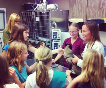 Veterinary Medical Clinic