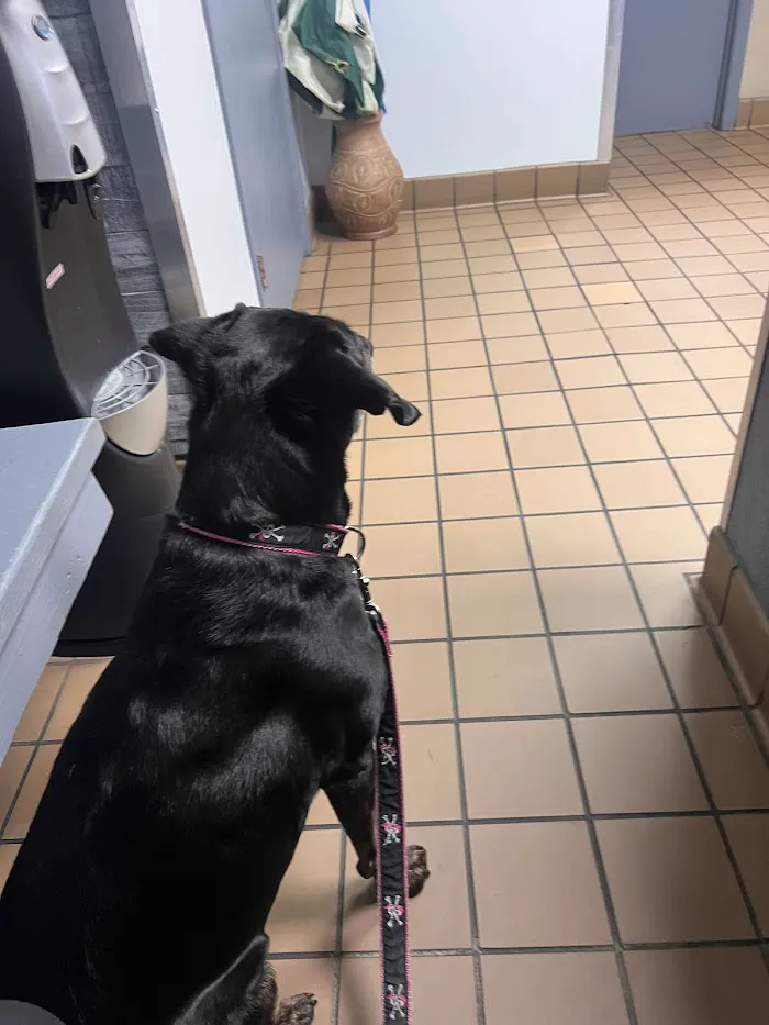 Veterinary Medical Clinic 10