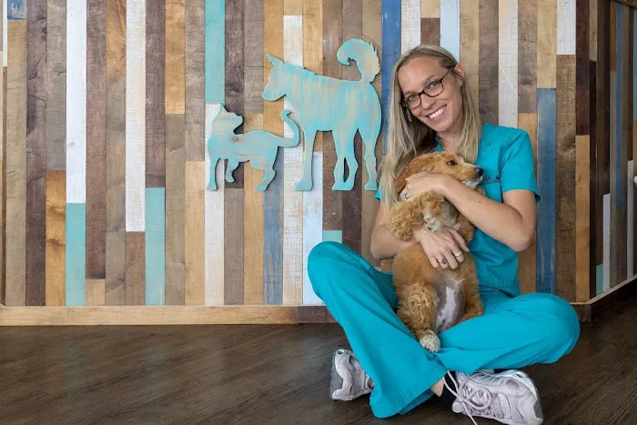 Coastal Animal Clinic - Tampa 12