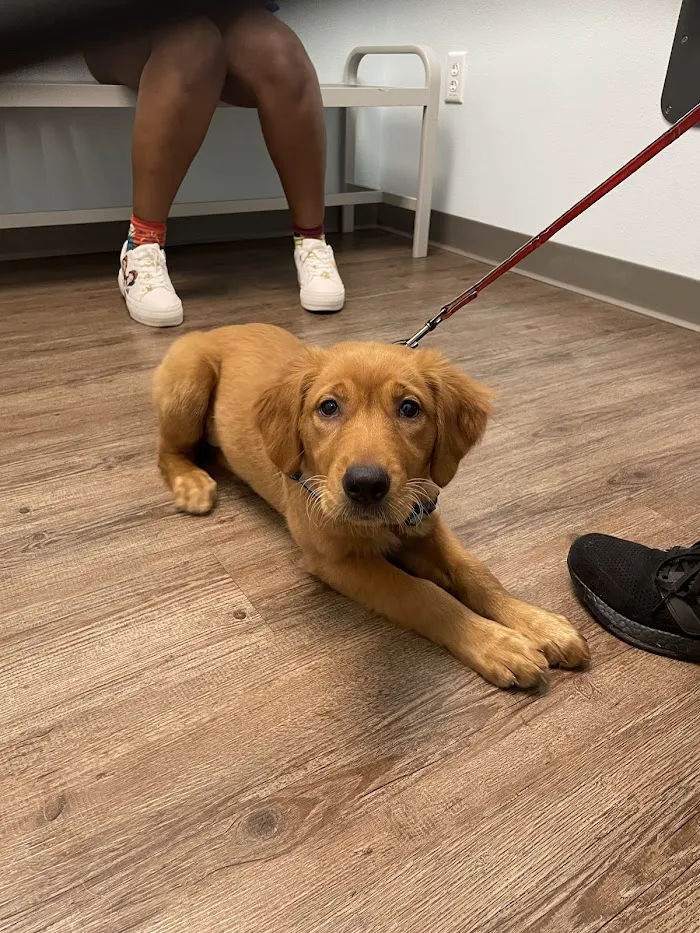 Coastal Animal Clinic - Tampa 12