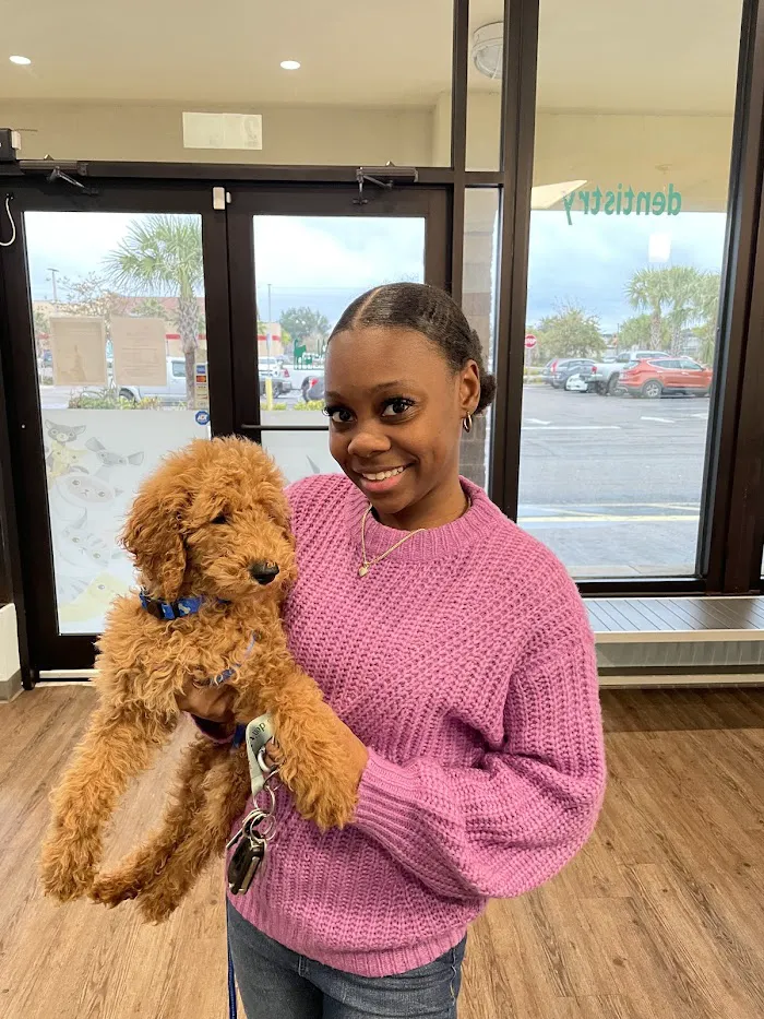 Coastal Animal Clinic - Tampa 12
