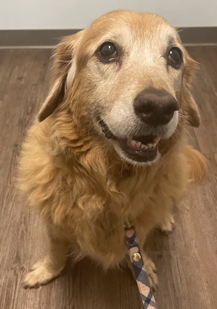 Coastal Animal Clinic - Tampa 12