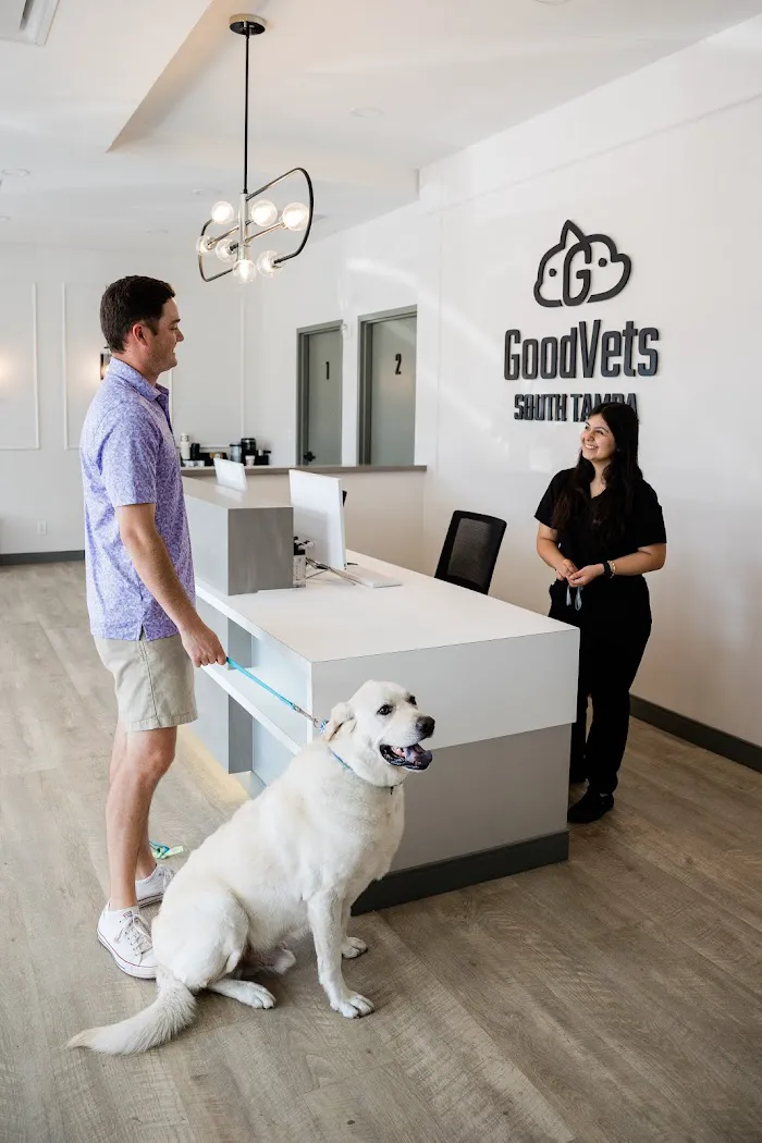 GoodVets South Tampa 9