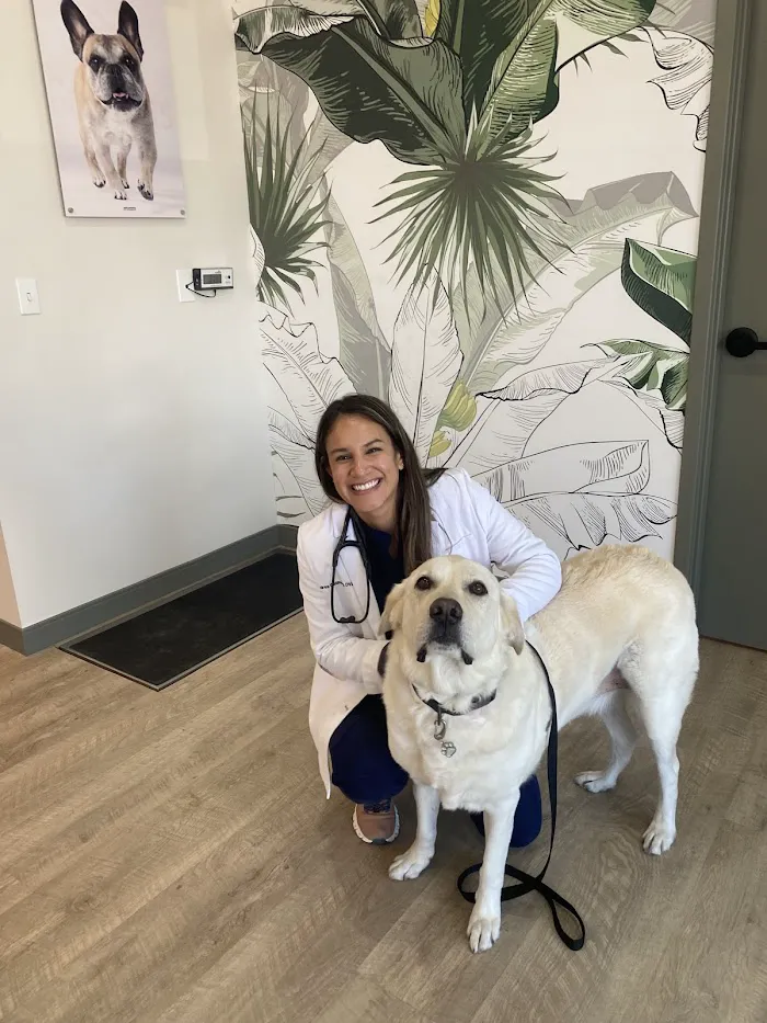 GoodVets South Tampa 7