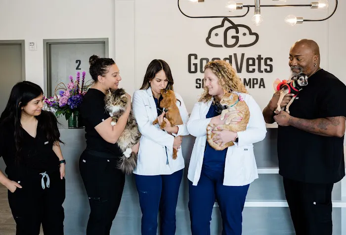 GoodVets South Tampa 1