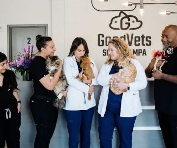 GoodVets South Tampa