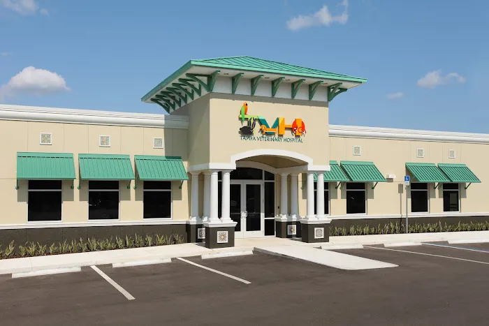 Tampa Veterinary Hospital 12