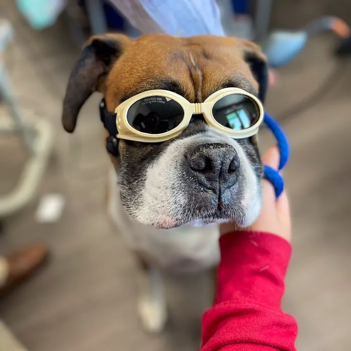 Tampa Veterinary Hospital 12