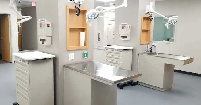 Tampa Veterinary Hospital 12