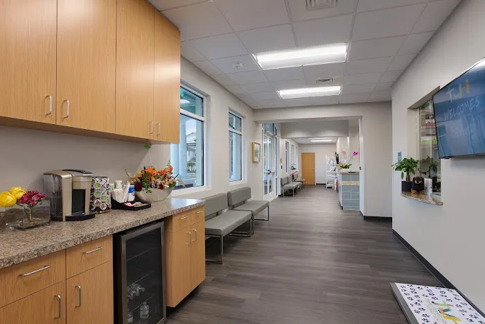 Tampa Veterinary Hospital 12