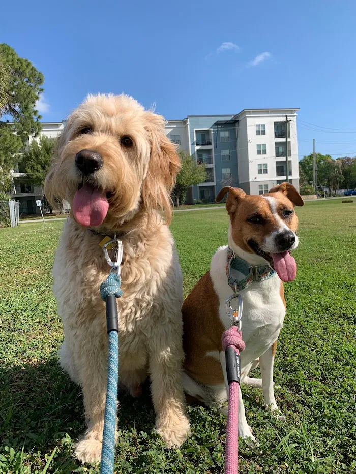 Hyde Park Veterinary Clinic 12