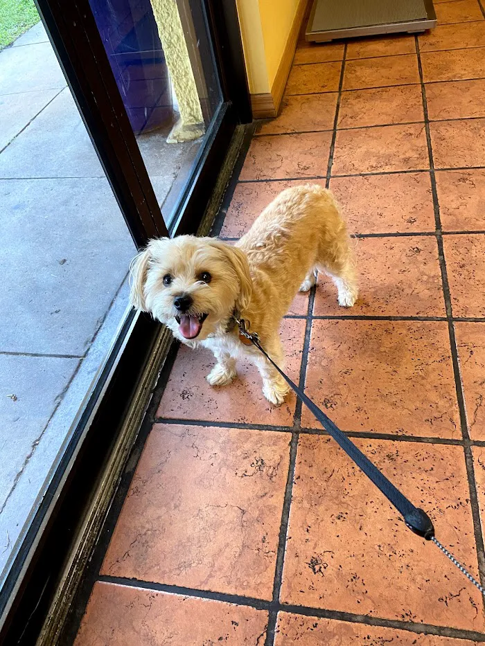 Hyde Park Veterinary Clinic 12