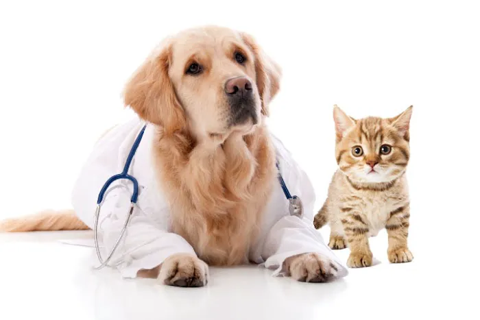 Busch Animal Hospital 12