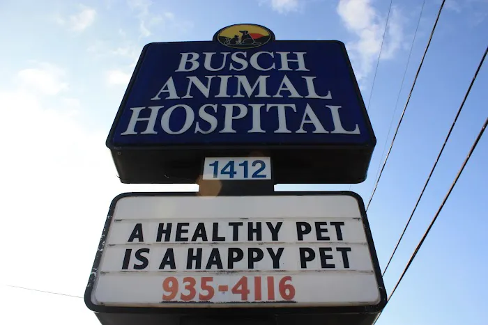 Busch Animal Hospital 12