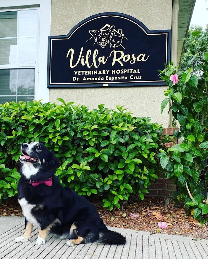 Villa Rosa Veterinary Hospital 12