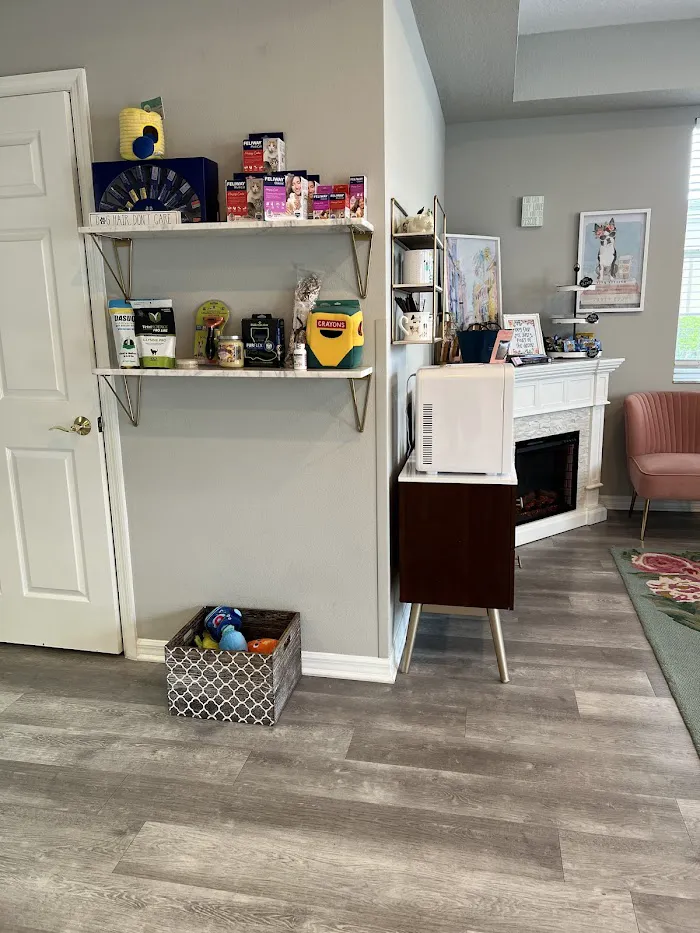 Villa Rosa Veterinary Hospital 12
