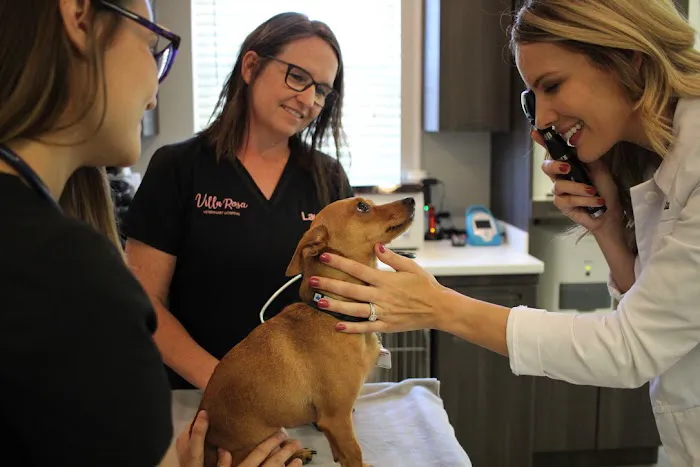 Villa Rosa Veterinary Hospital 12