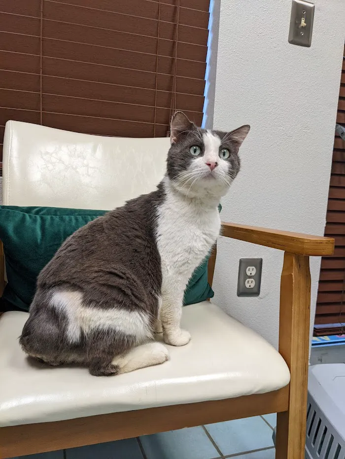 Alt, Jeffrey, Dvm - All Creatures Animal Hospital 12