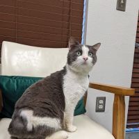 Alt, Jeffrey, Dvm - All Creatures Animal Hospital ico