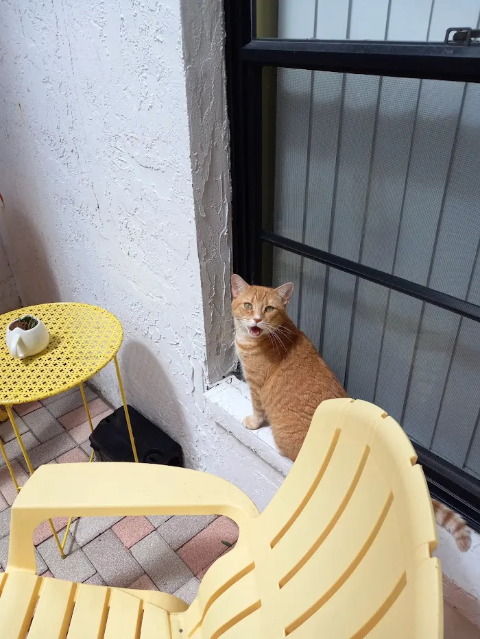 Plantation Animal Hospital of Tampa 7