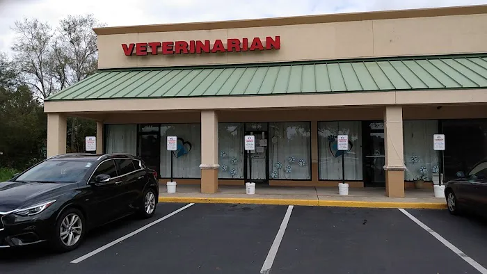 Plantation Animal Hospital of Tampa 2