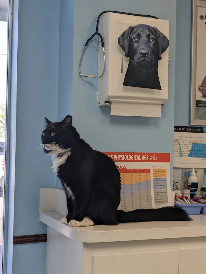 Country Oaks Animal Hospital 10
