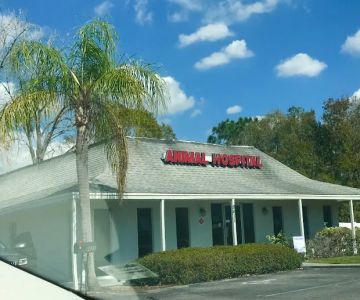 Country Oaks Animal Hospital