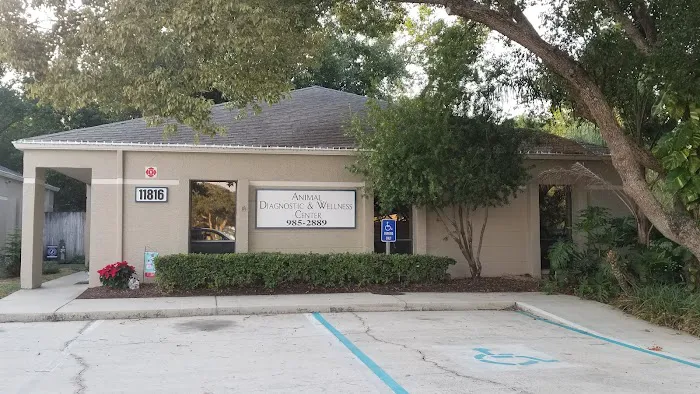 Animal Diagnostic & Wellness Center 12