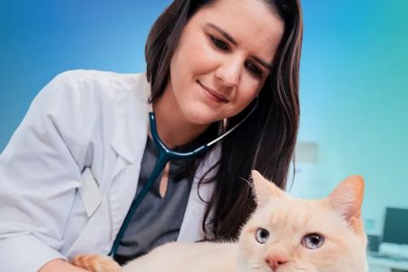 NewDay Veterinary Care