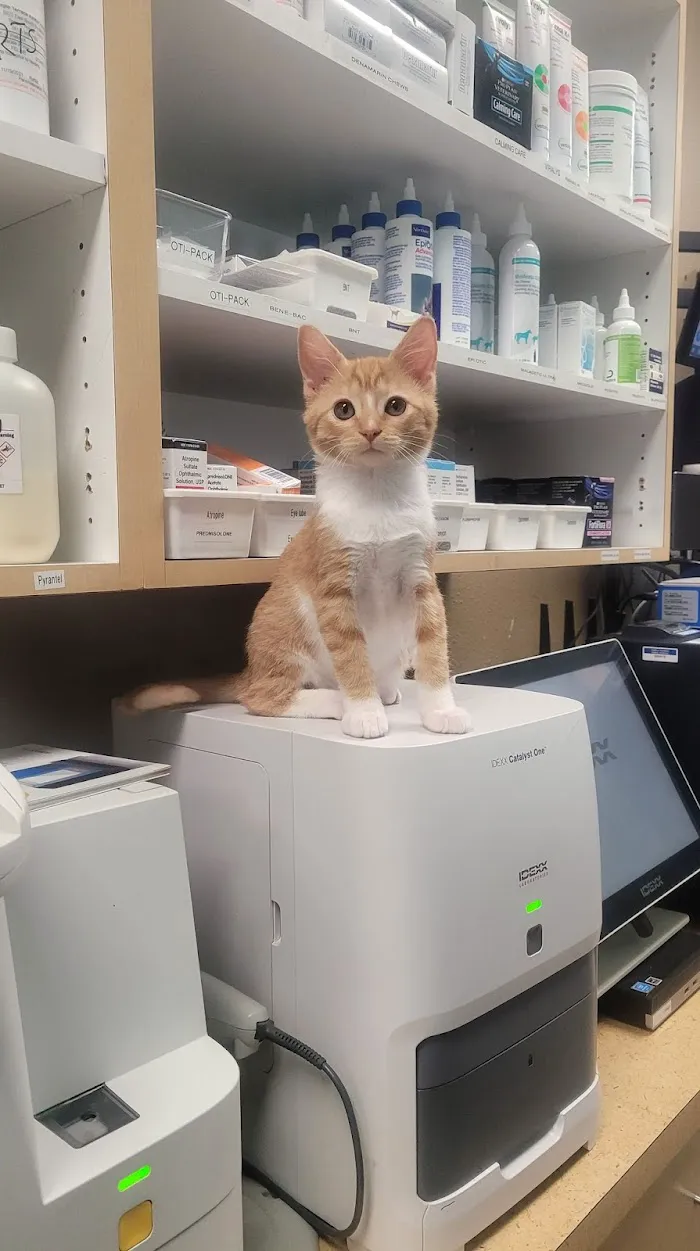 Temple Terrace Animal Hospital 12