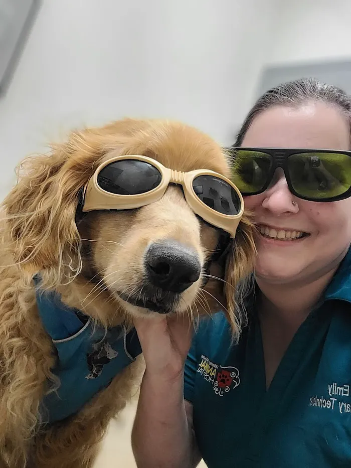 Temple Terrace Animal Hospital 12