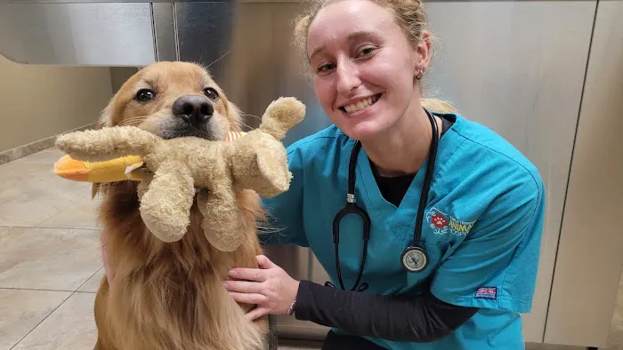Temple Terrace Animal Hospital 12