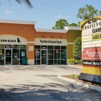 Van Dyke Animal Clinic - Veterinarian ico