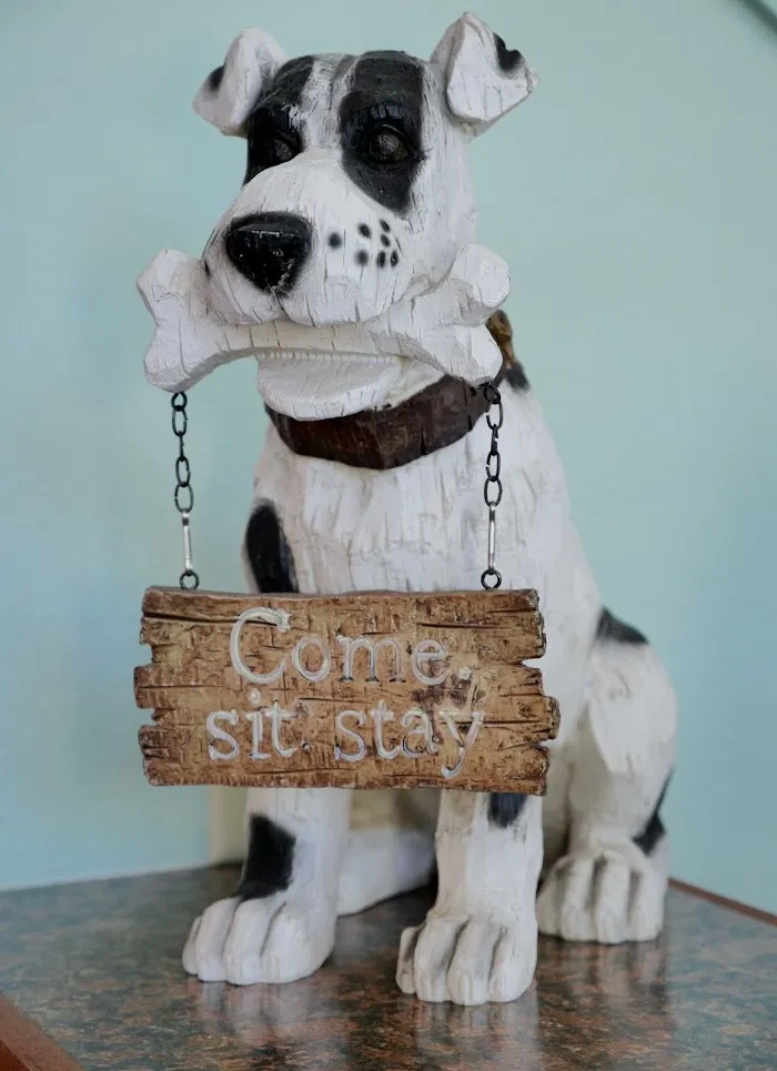 Van Dyke Animal Clinic - Veterinarian 7