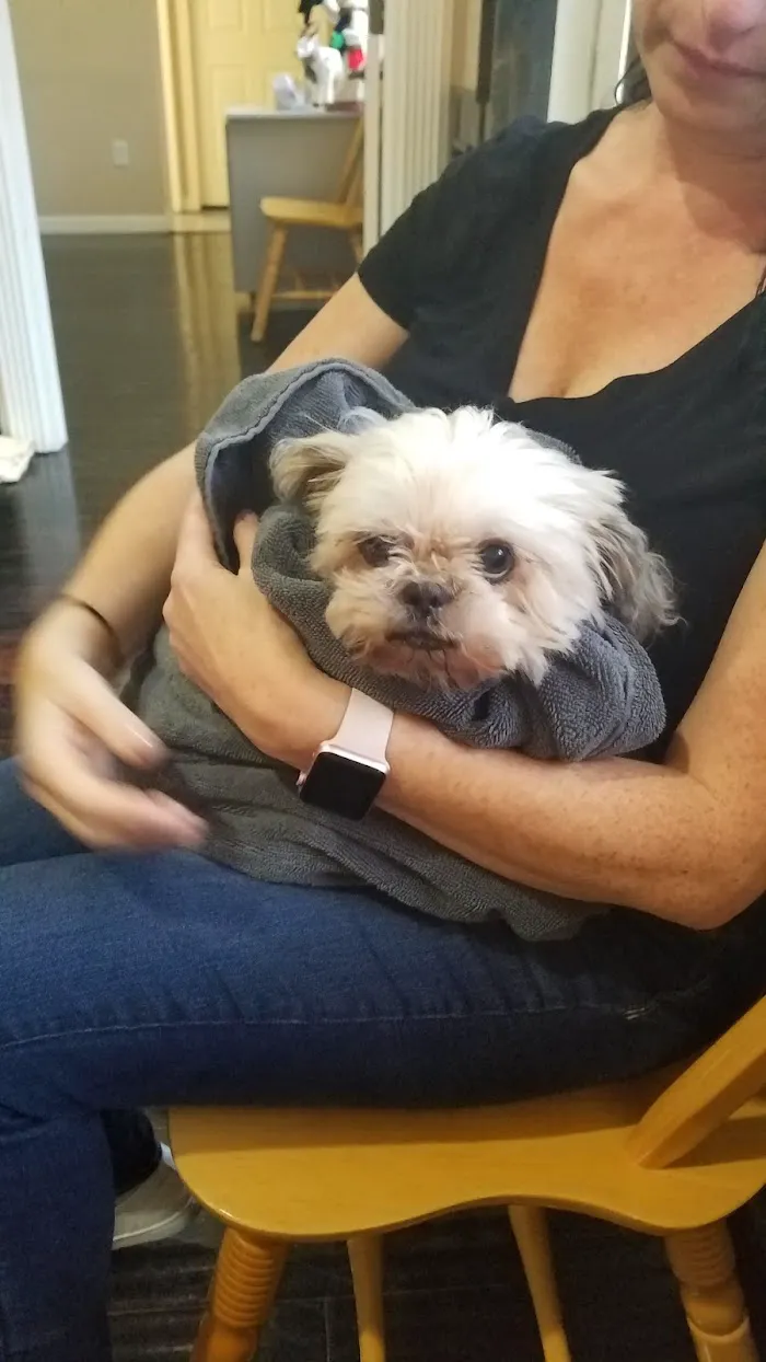 Tampa Palms Animal Hospital 9