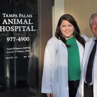 Tampa Palms Animal Hospital ico