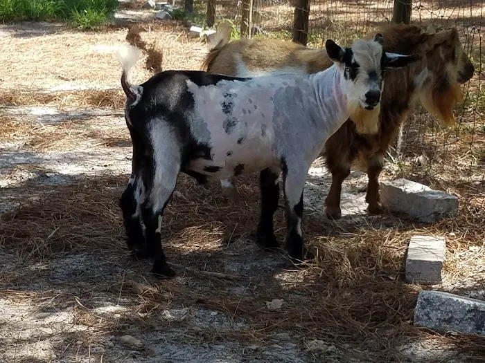 New Tampa Animal Hospital 12
