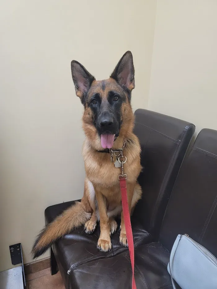 New Tampa Animal Hospital 12