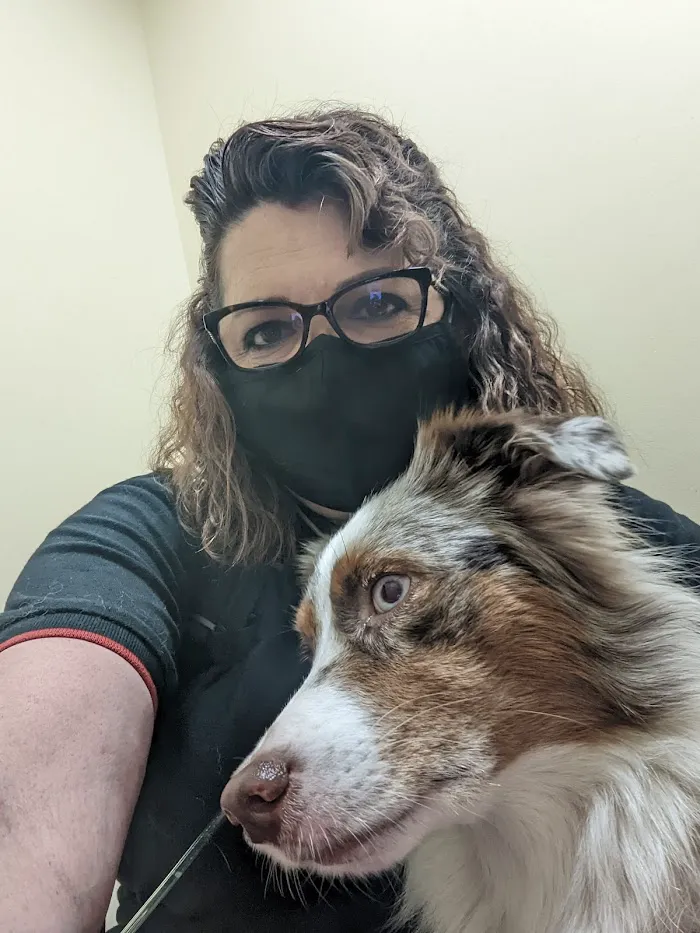 New Tampa Animal Hospital 12